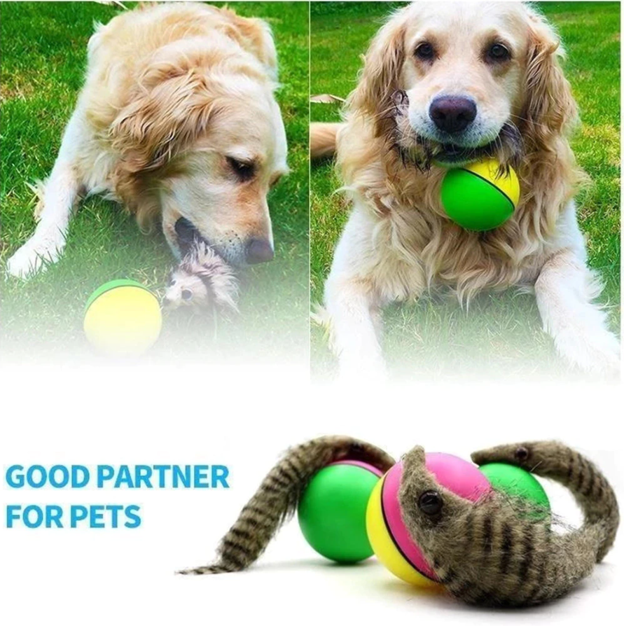 PlayBall | Elektronisch Interactief Speelgoed voor Dieren