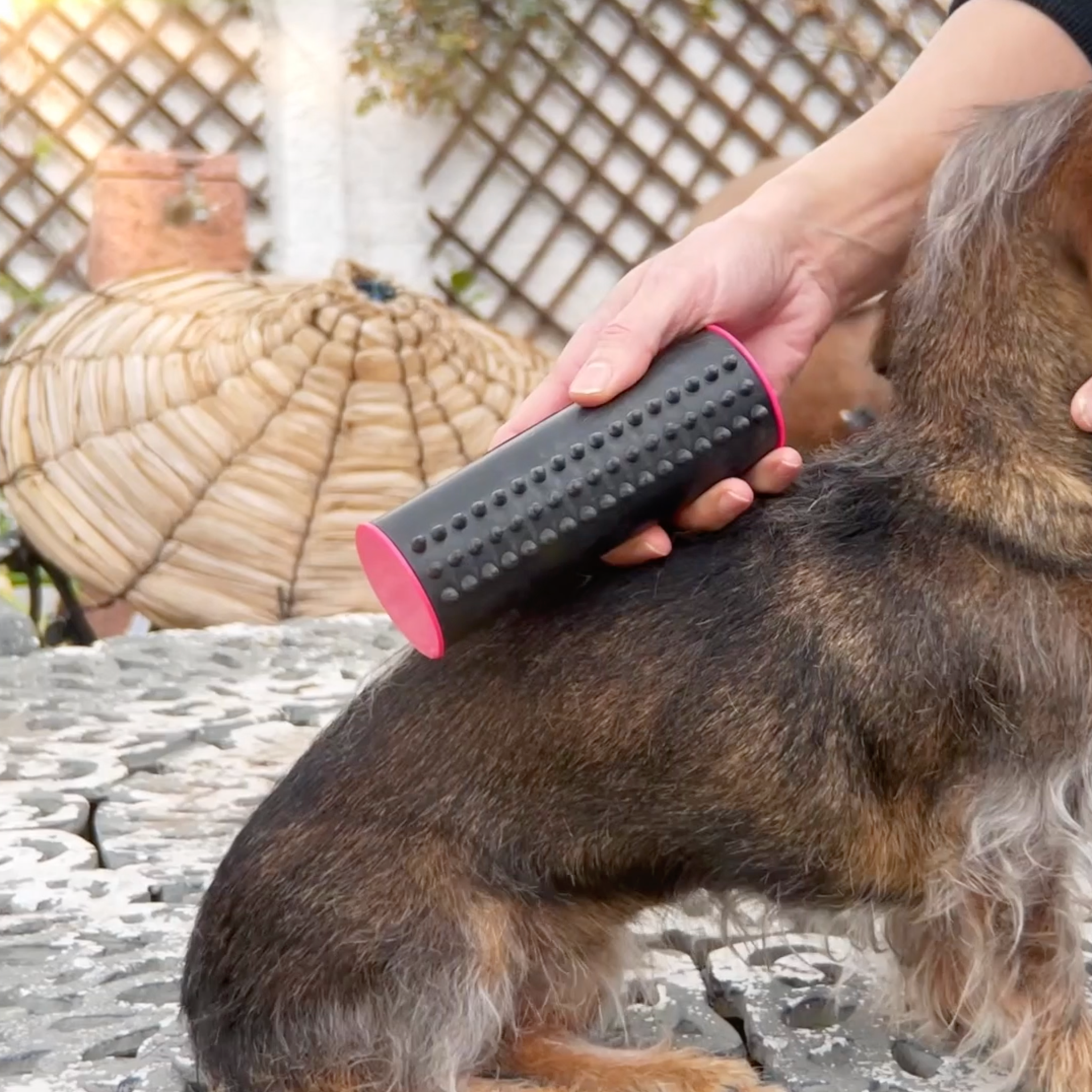 PupGroomer Borstel Voor Ondervacht En Vacht