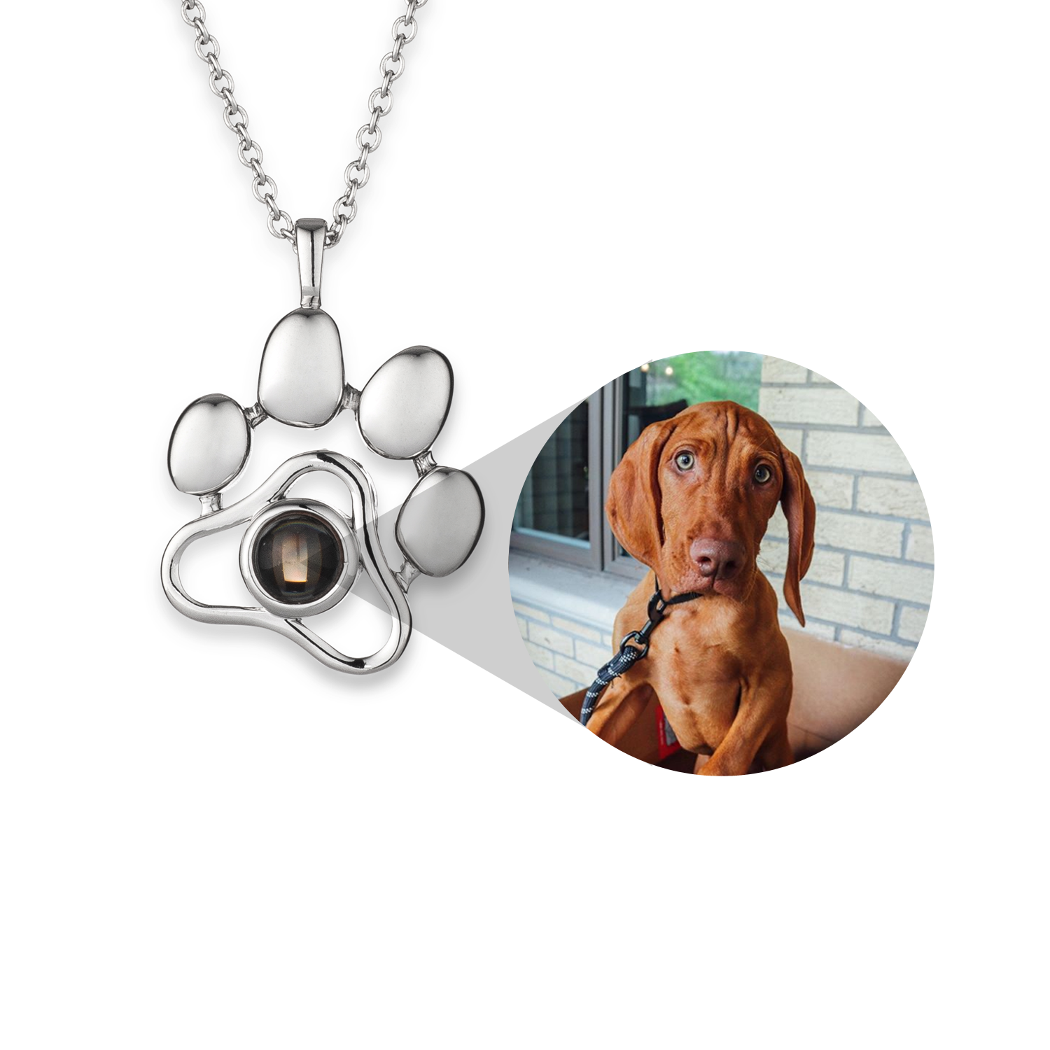 Petty Gepersonaliseerde Huisdier Foto Ketting