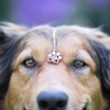 Petty Gepersonaliseerde Huisdier Foto Ketting