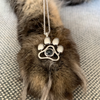 Petty Gepersonaliseerde Huisdier Foto Ketting
